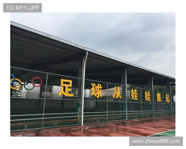 乐投体育公司最新赛事合作方案全面解析助力体育产业发展