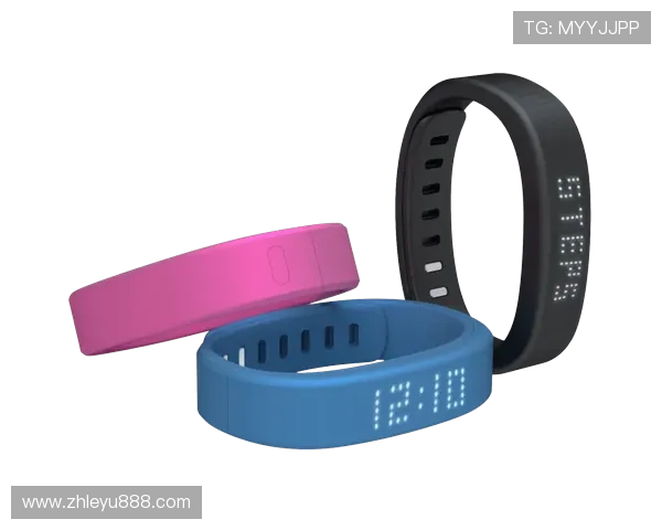 乐竞体育app平台：创新体育娱乐模式，助力用户享受极致运动体验