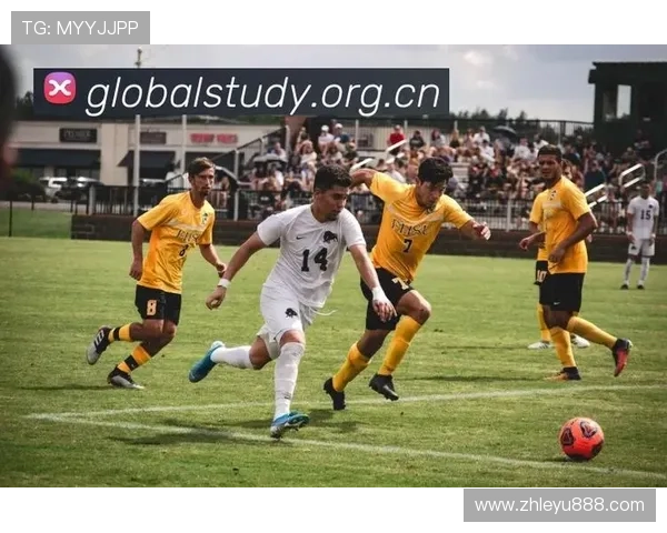 乐鱼体育数字站：打造智能化体育信息服务的领先品牌