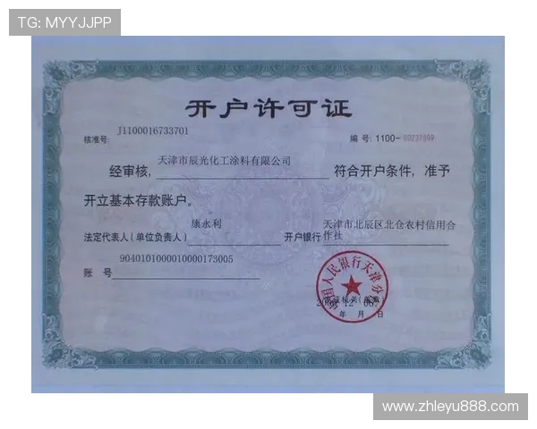 乐鱼手机版用户指南，详细介绍操作流程与账户管理技巧