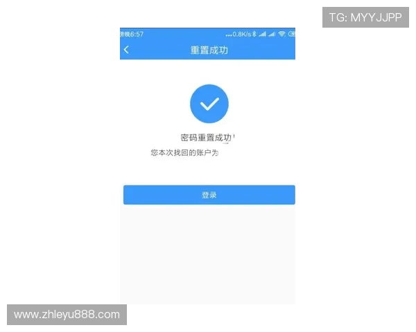 乐鱼电子登录密码忘了怎么办安全有效的快速重置指南