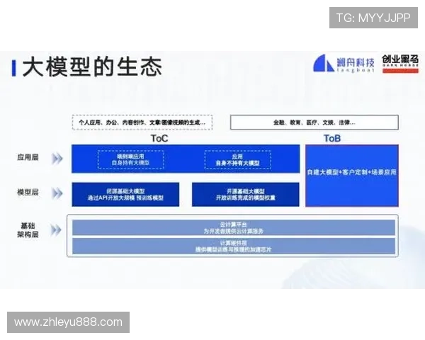 乐鱼备用平台官网分析不同版本登录入口的优势与适用场景