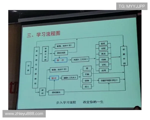 乐鱼娱乐登陆注册流程优化提升用户体验的实用技巧与操作指南