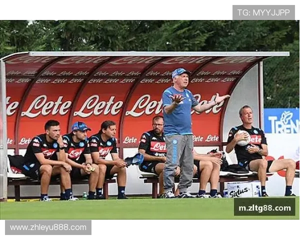 乐鱼电竞体育赛事的版权保护与合法运营的重要性与实践经验