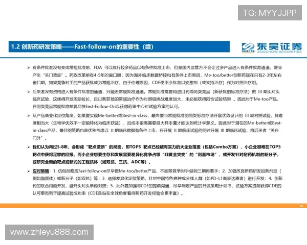 乐鱼真人平台的安全保障措施详解，确保玩家资金与个人信息安全无忧